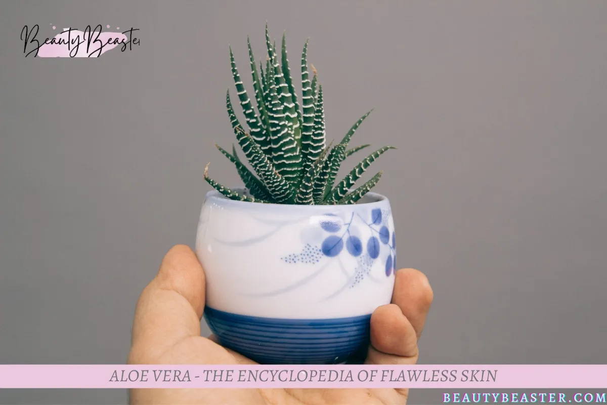 ALOE VERA - The Encyclopedia Of Flawless Skin