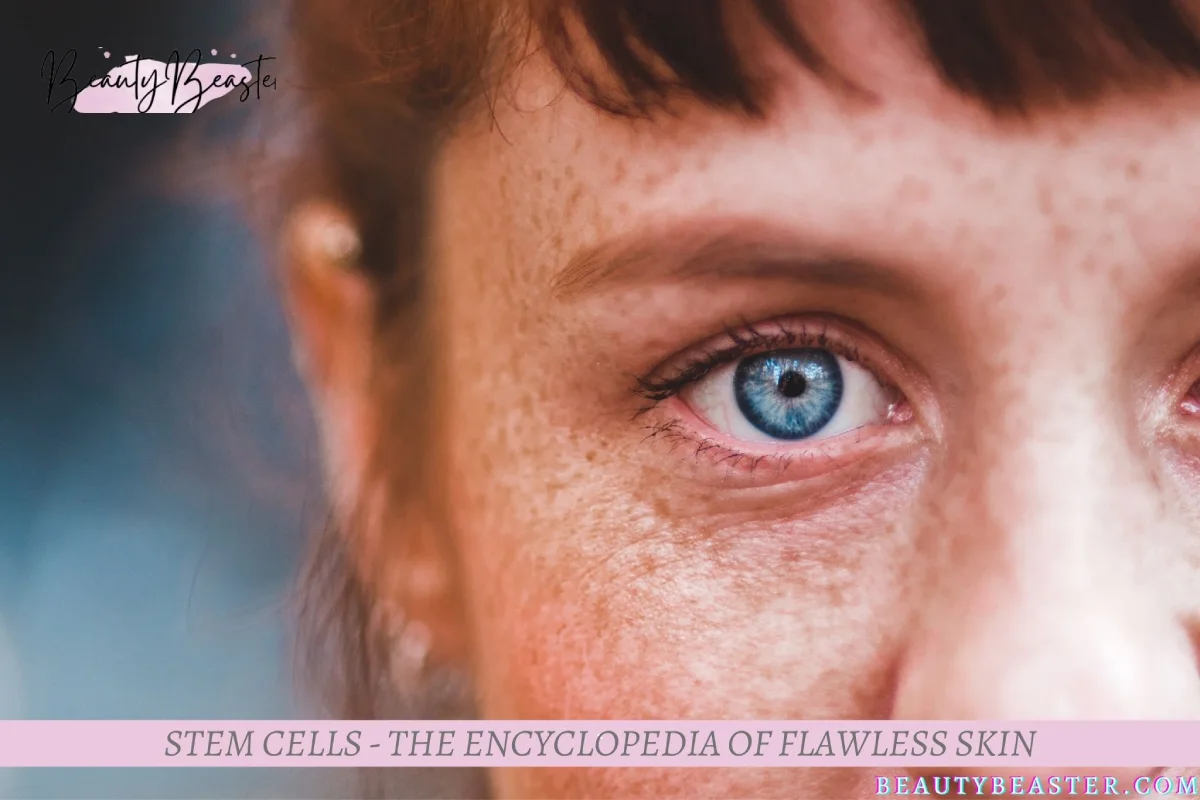 STEM CELLS - The Encyclopedia Of Flawless Skin